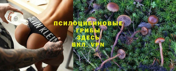 марки lsd Каменногорск