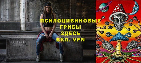 индика Киреевск
