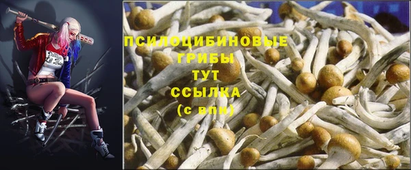 молекула духа Валдай