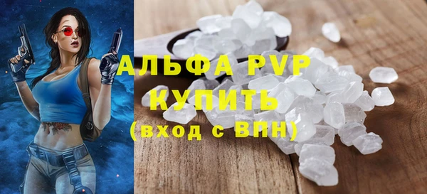 индика Киреевск